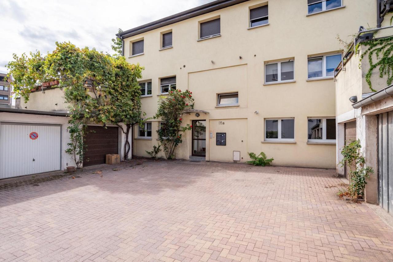 Le Reve Bleu - Golden Tree - Wifi - 15Min Centre Ville De Strasbourg 쉴티그하임 외부 사진