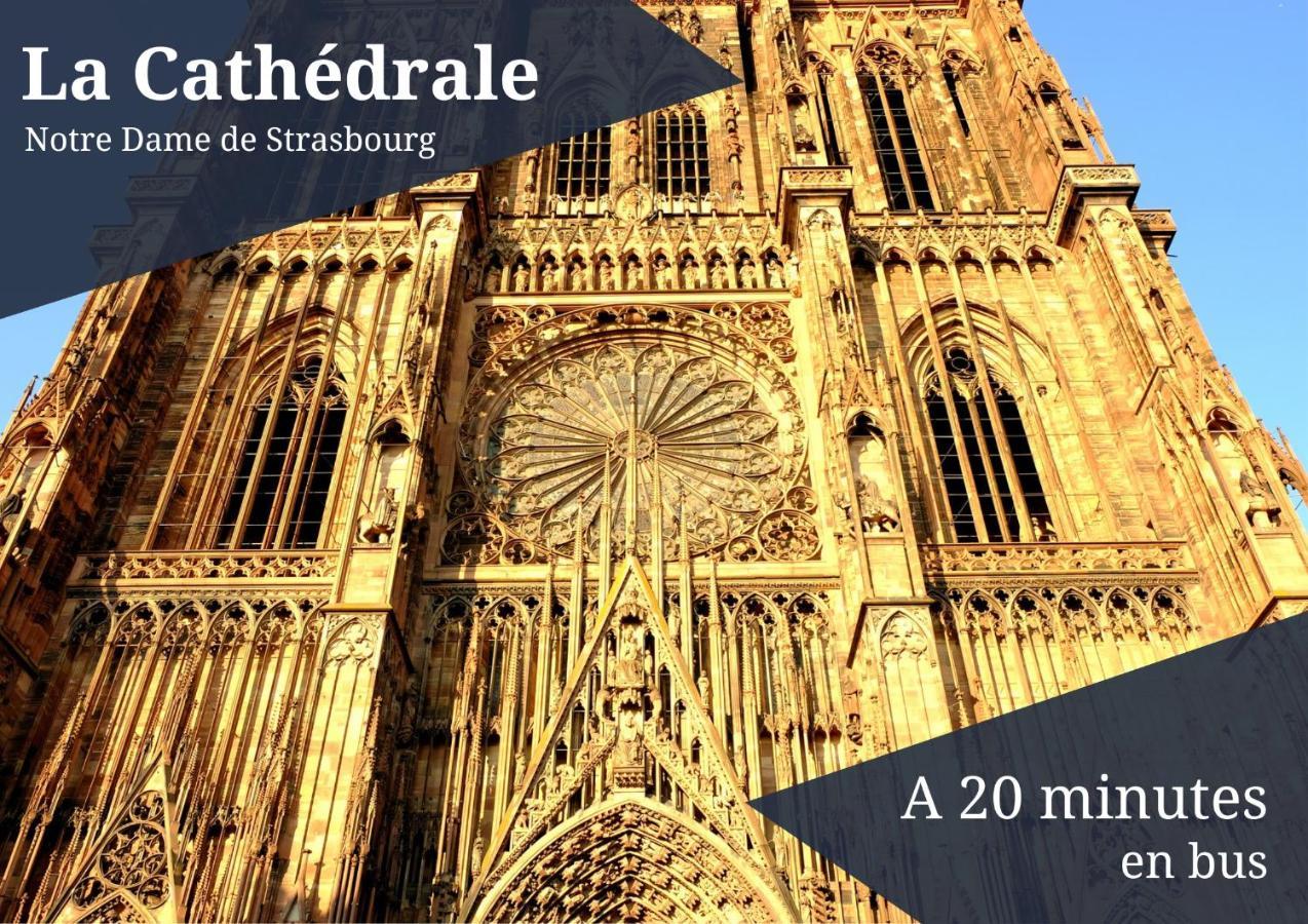 Le Reve Bleu - Golden Tree - Wifi - 15Min Centre Ville De Strasbourg 쉴티그하임 외부 사진