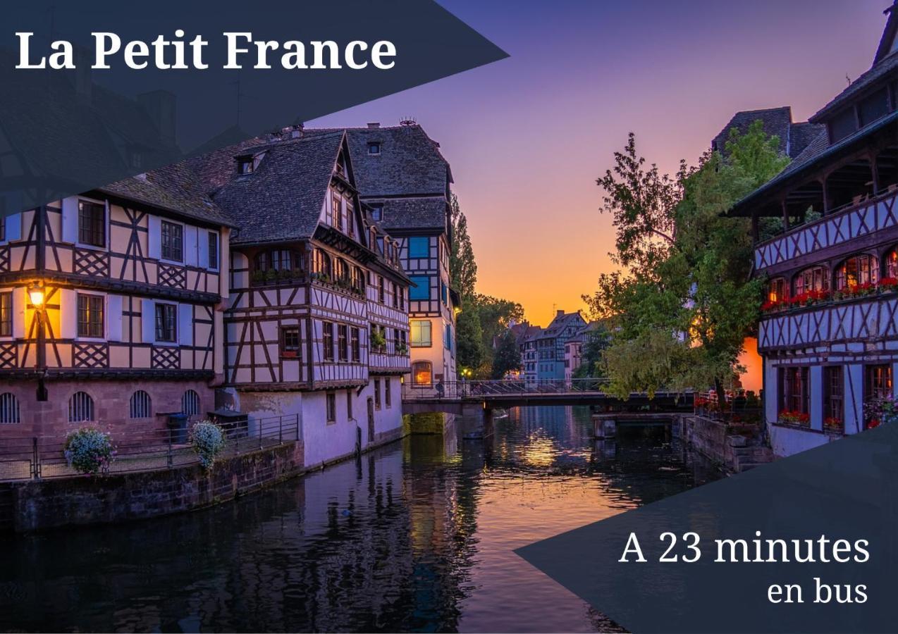 Le Reve Bleu - Golden Tree - Wifi - 15Min Centre Ville De Strasbourg 쉴티그하임 외부 사진